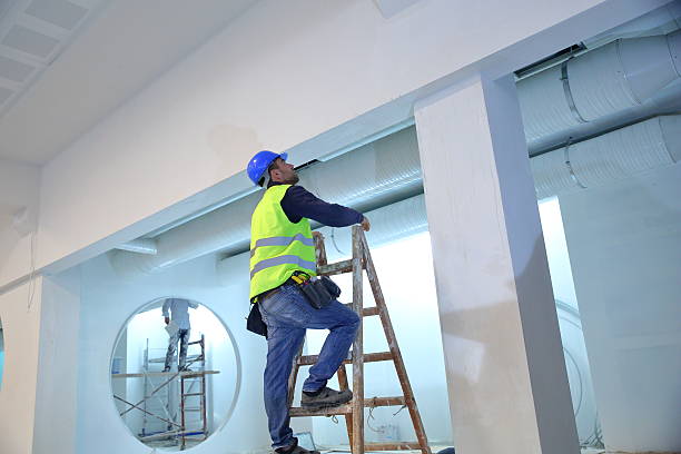 Best Eco-Friendly and Low-VOC Painting  in Rosewood Heights, IL